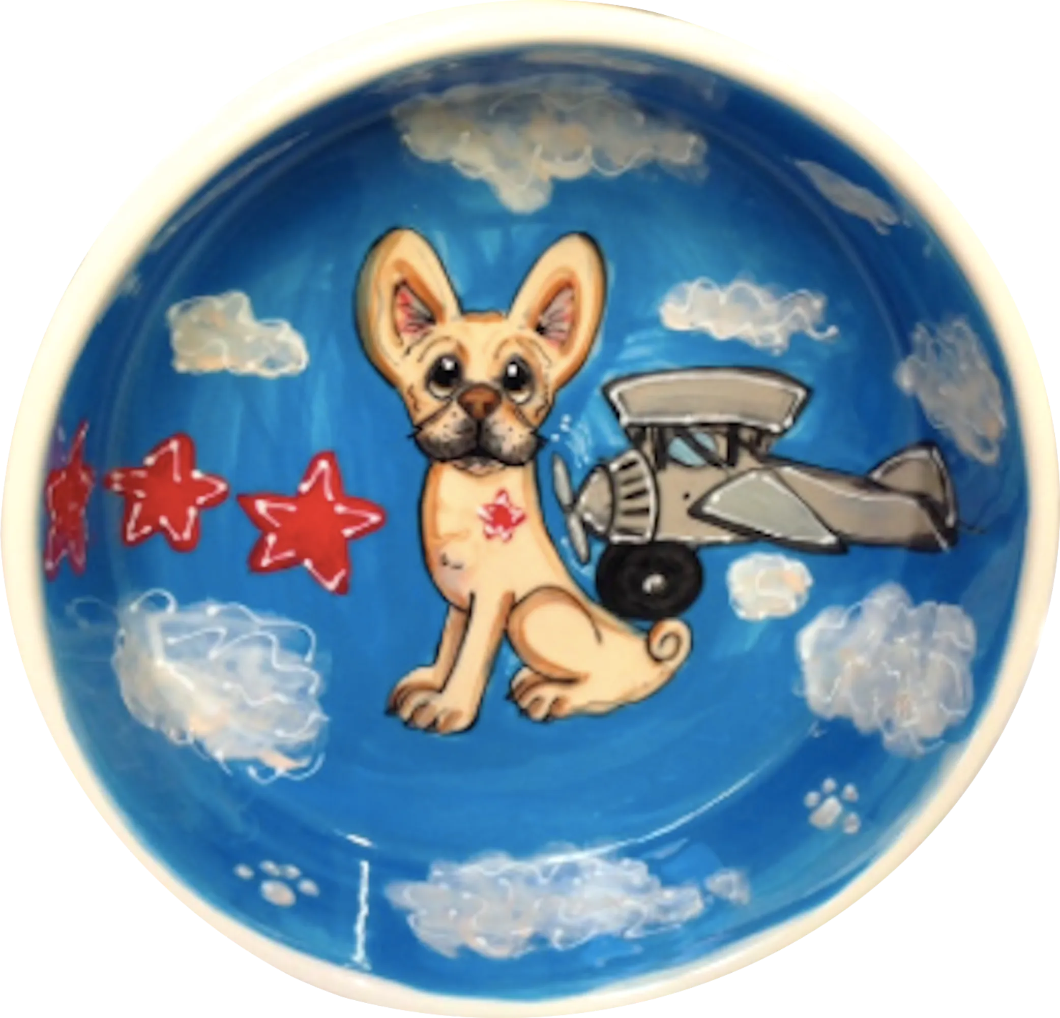 Aviation Ceramic Dog Bowl