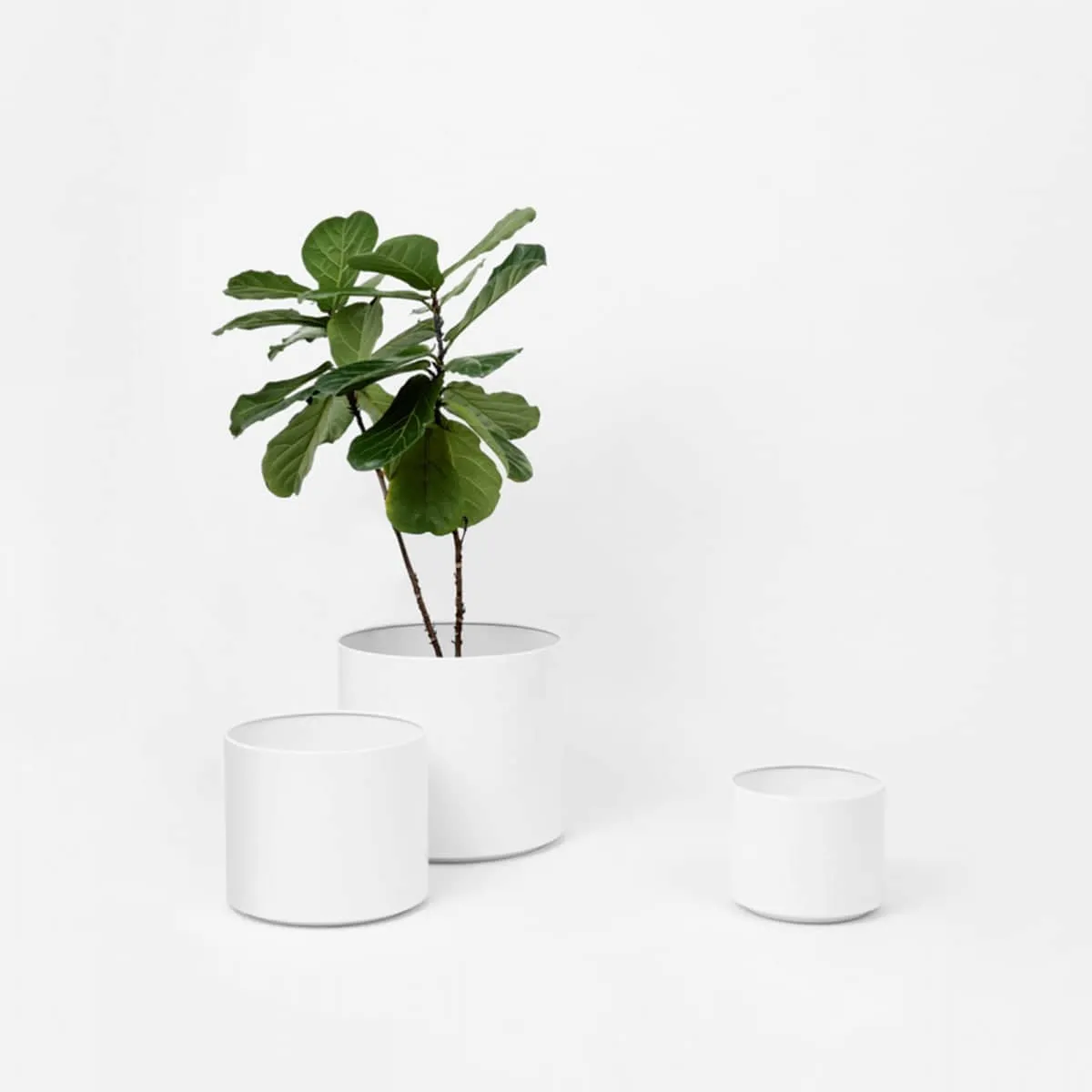 Benny Planter - White Large