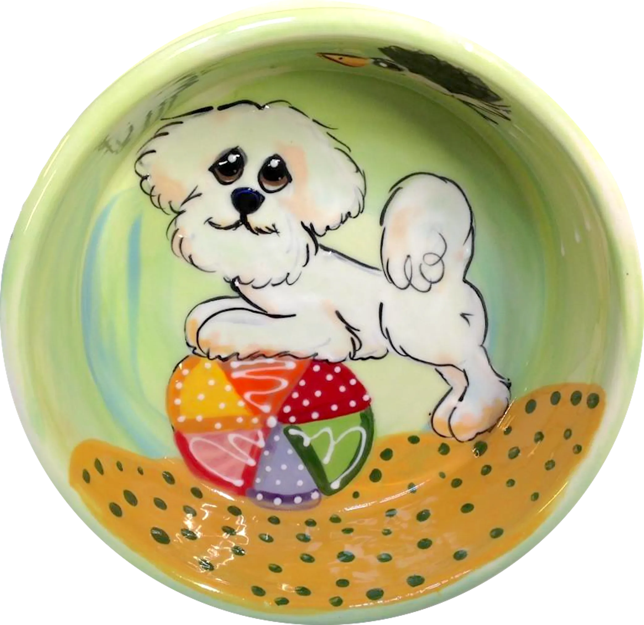 Bichon | Dog Bowl