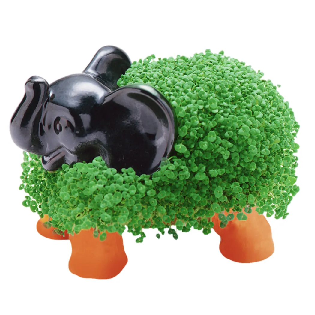 Chia Pet Planter - Elephant