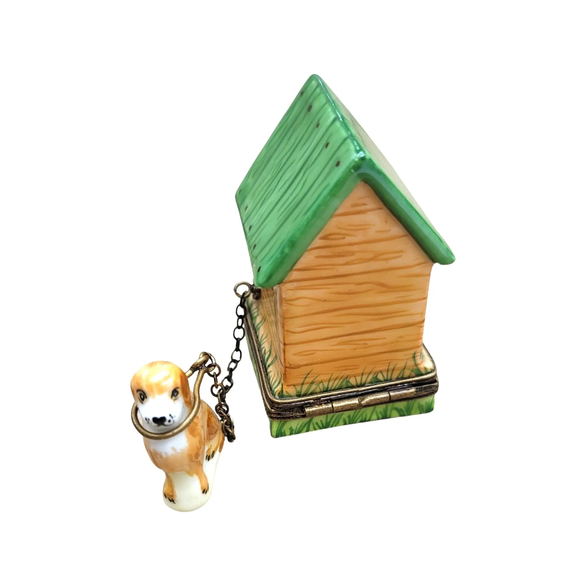 Dog on Chain in House