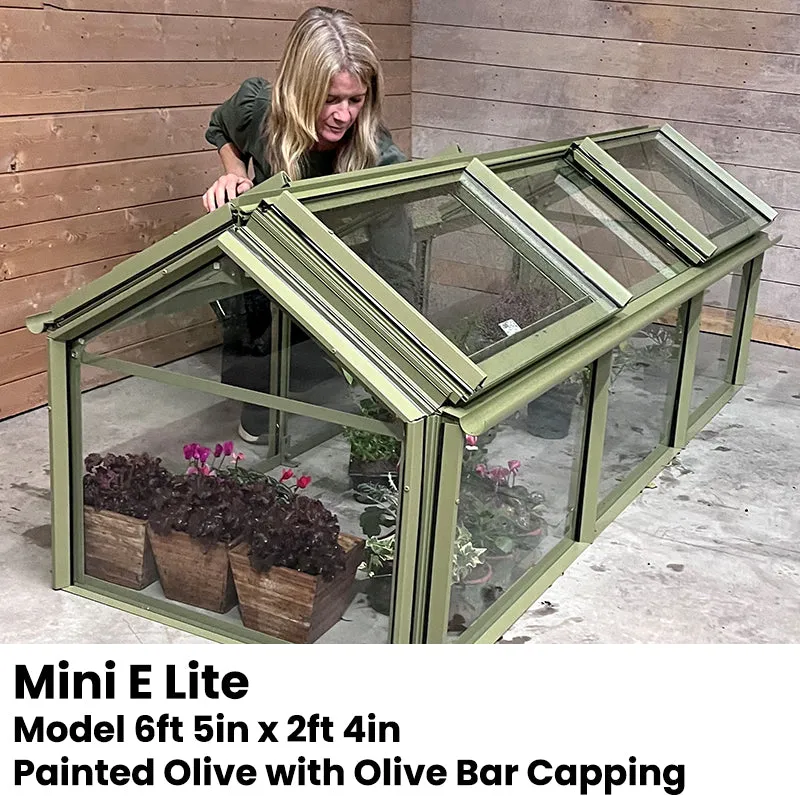 Elite Min E Lite Cold Frame