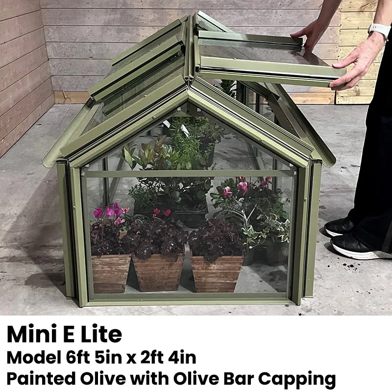 Elite Min E Lite Cold Frame