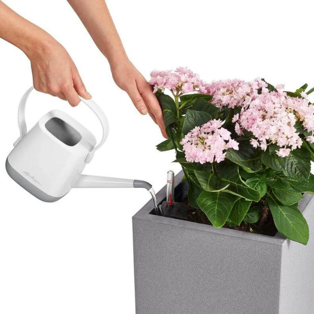 Lechuza Canto 30 Planter