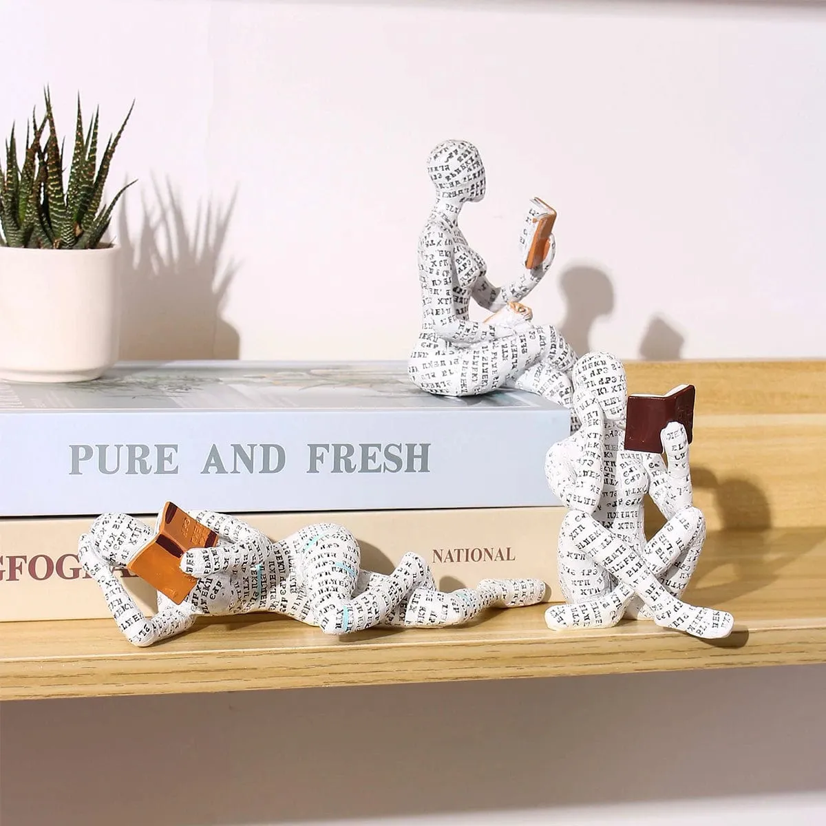 Literary Elegance: Resin Ornaments Featuring a Reading Lady