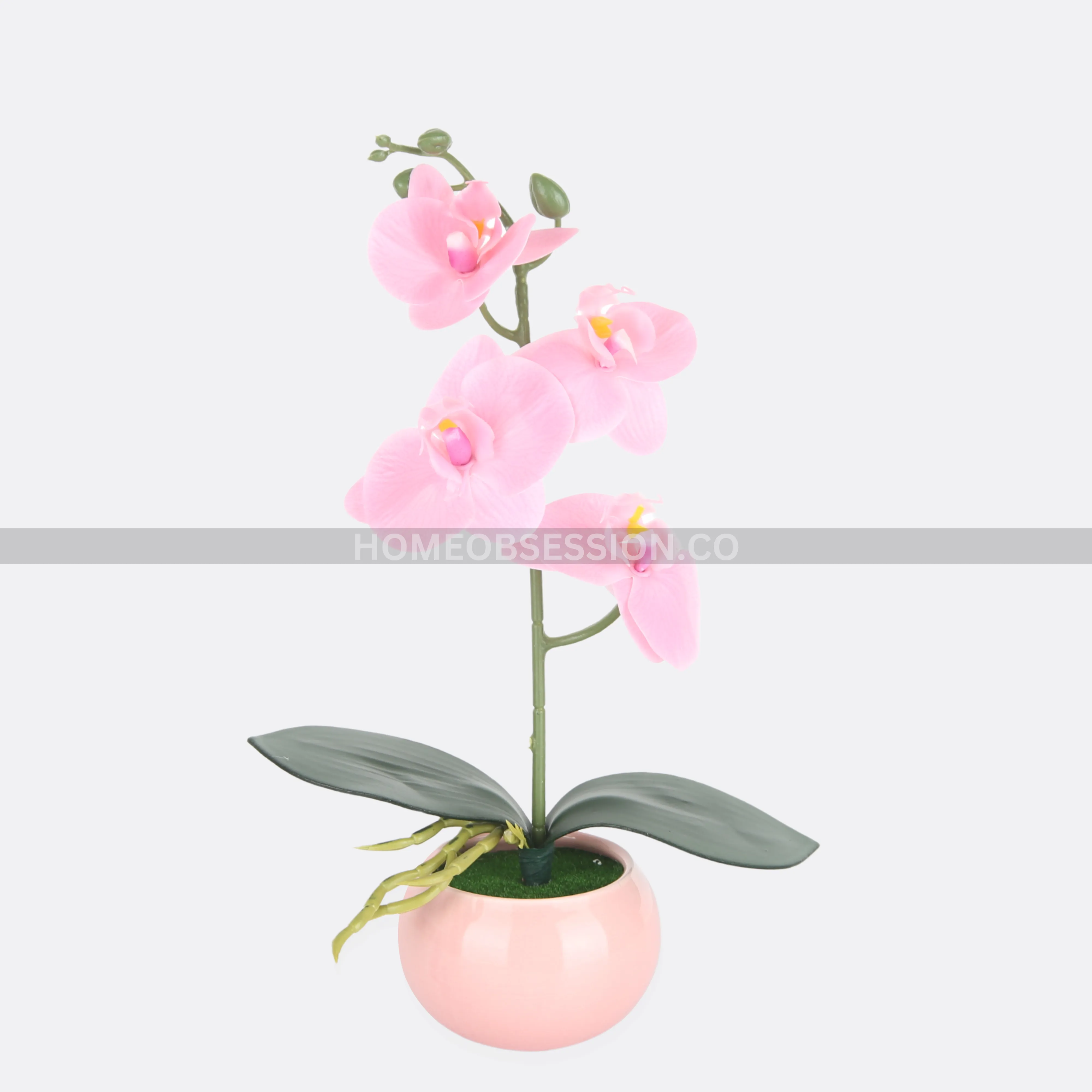 Luscious Planter In Pot ( 4 Colors )