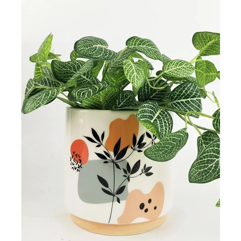 Marziah Foliage Planter - Medium (16.5cm)