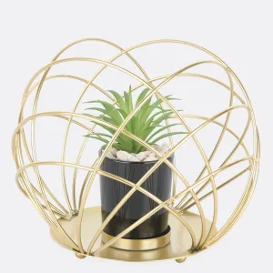 Metallic Cage Planter In Pot