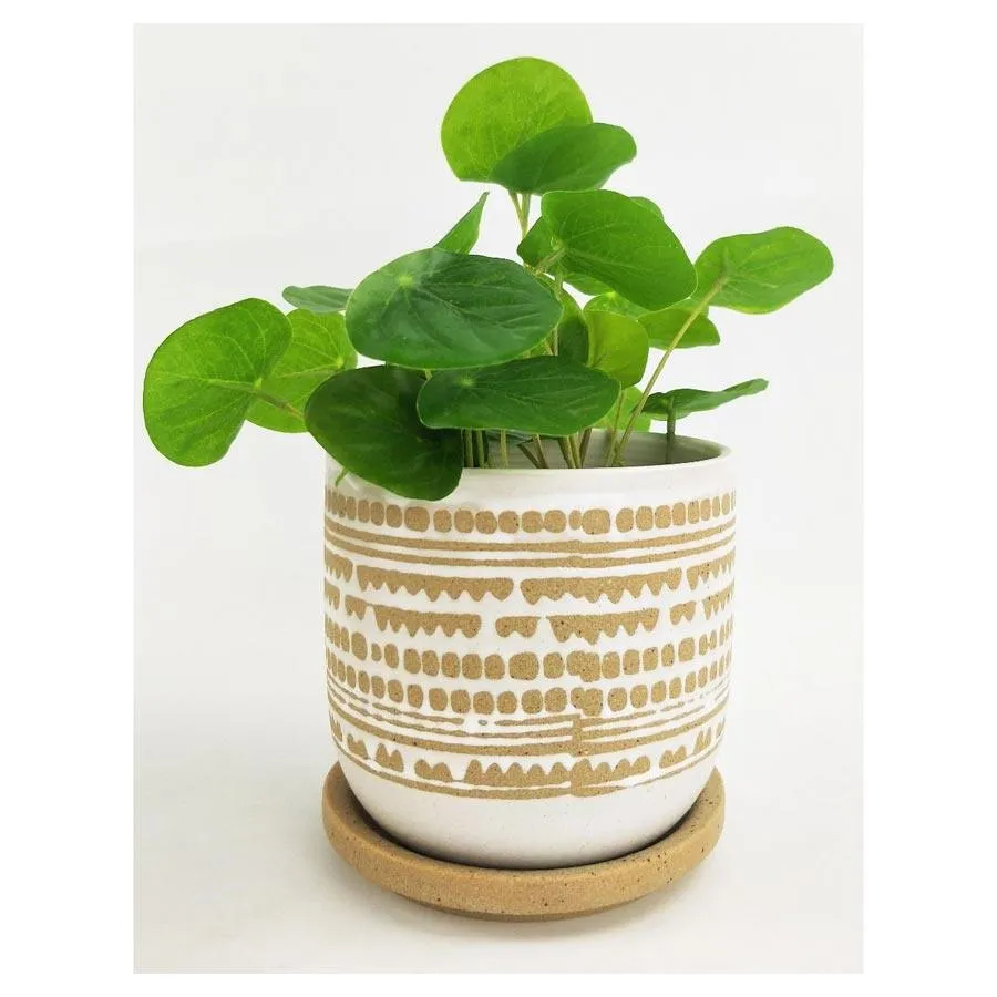 River Geo Planter (11.5cm)