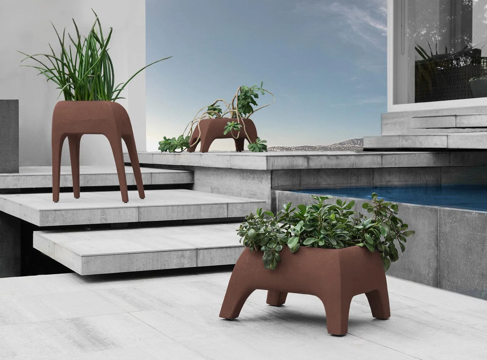 SAFARI PLANTERS, SHORT