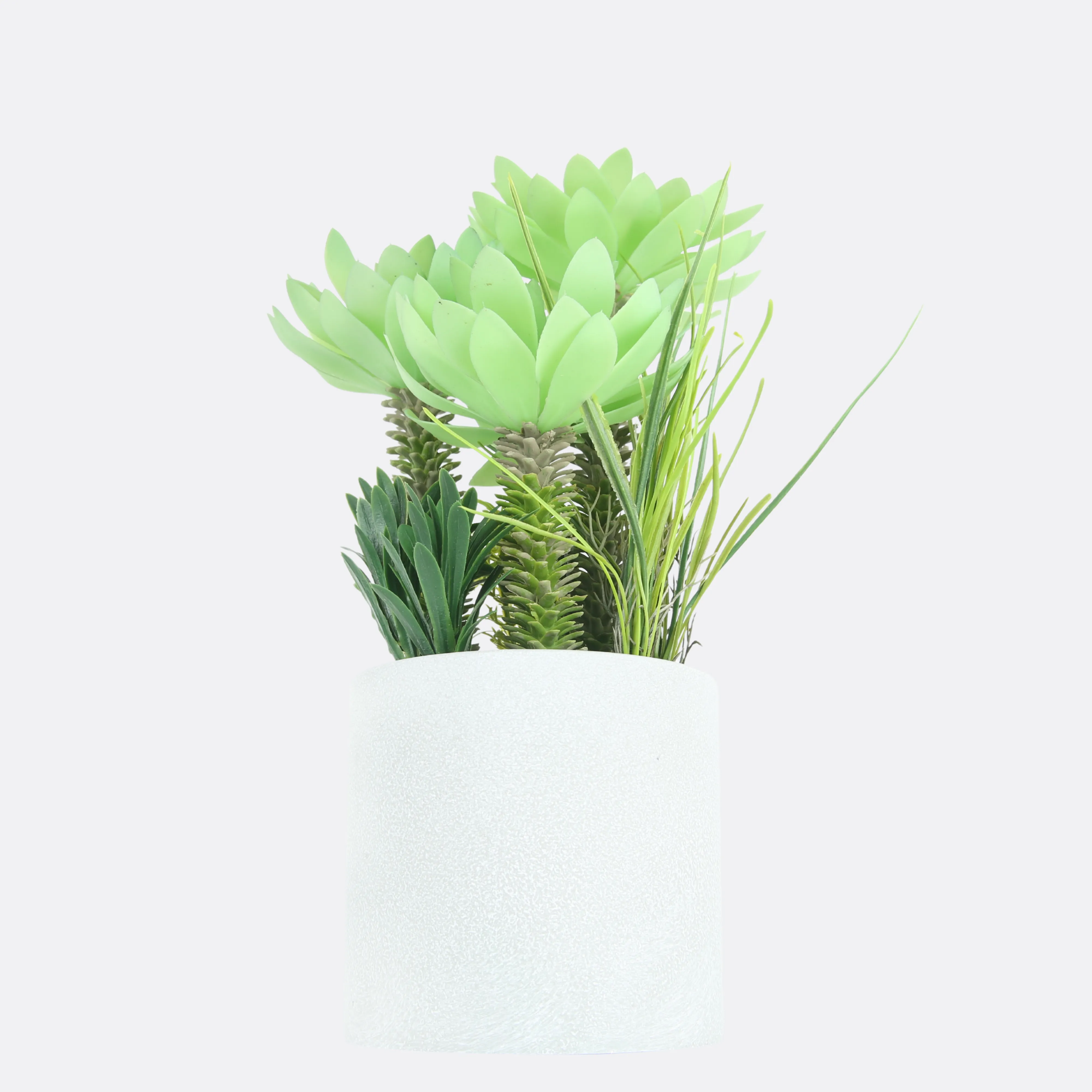 Stipule Planter With Ceramic Pot