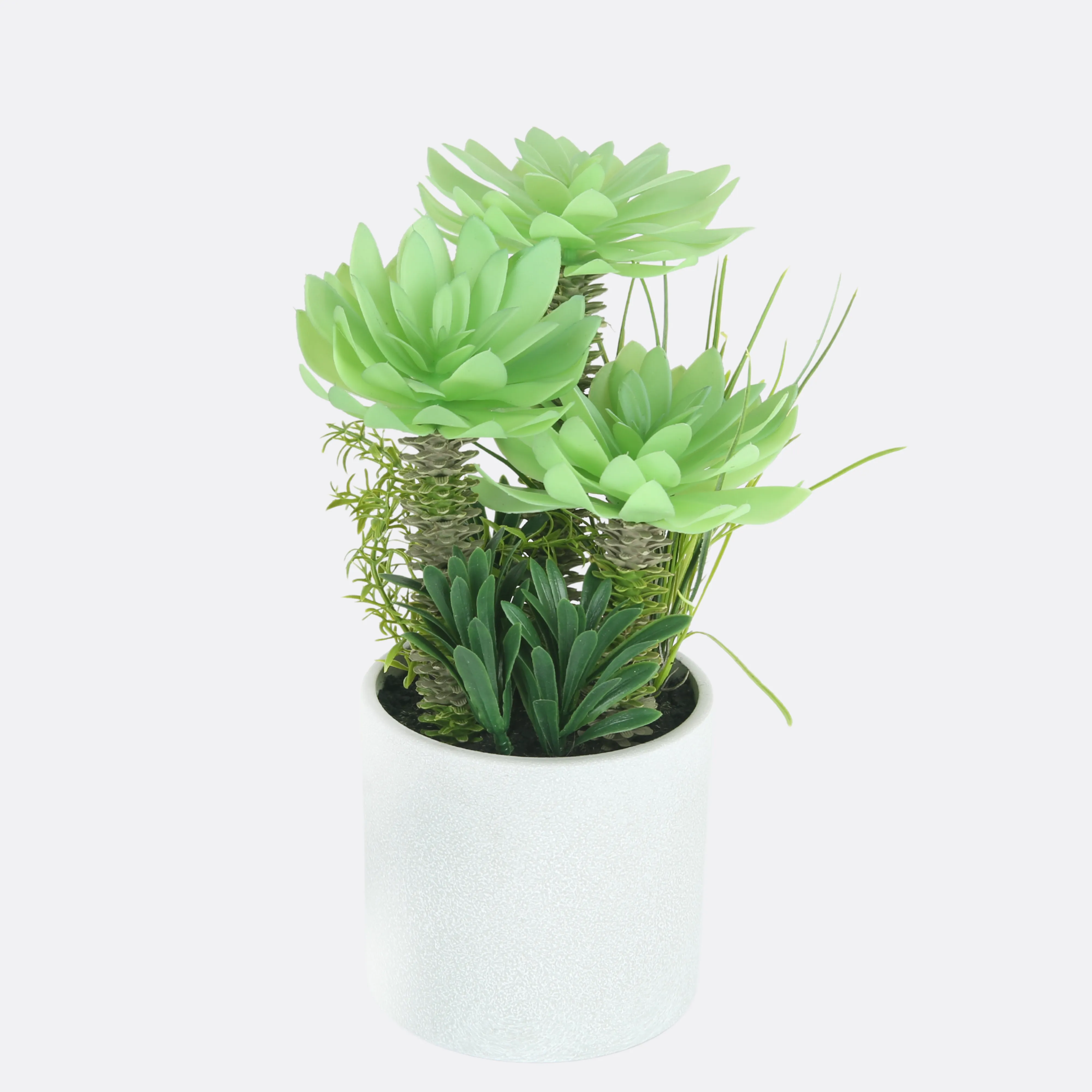 Stipule Planter With Ceramic Pot