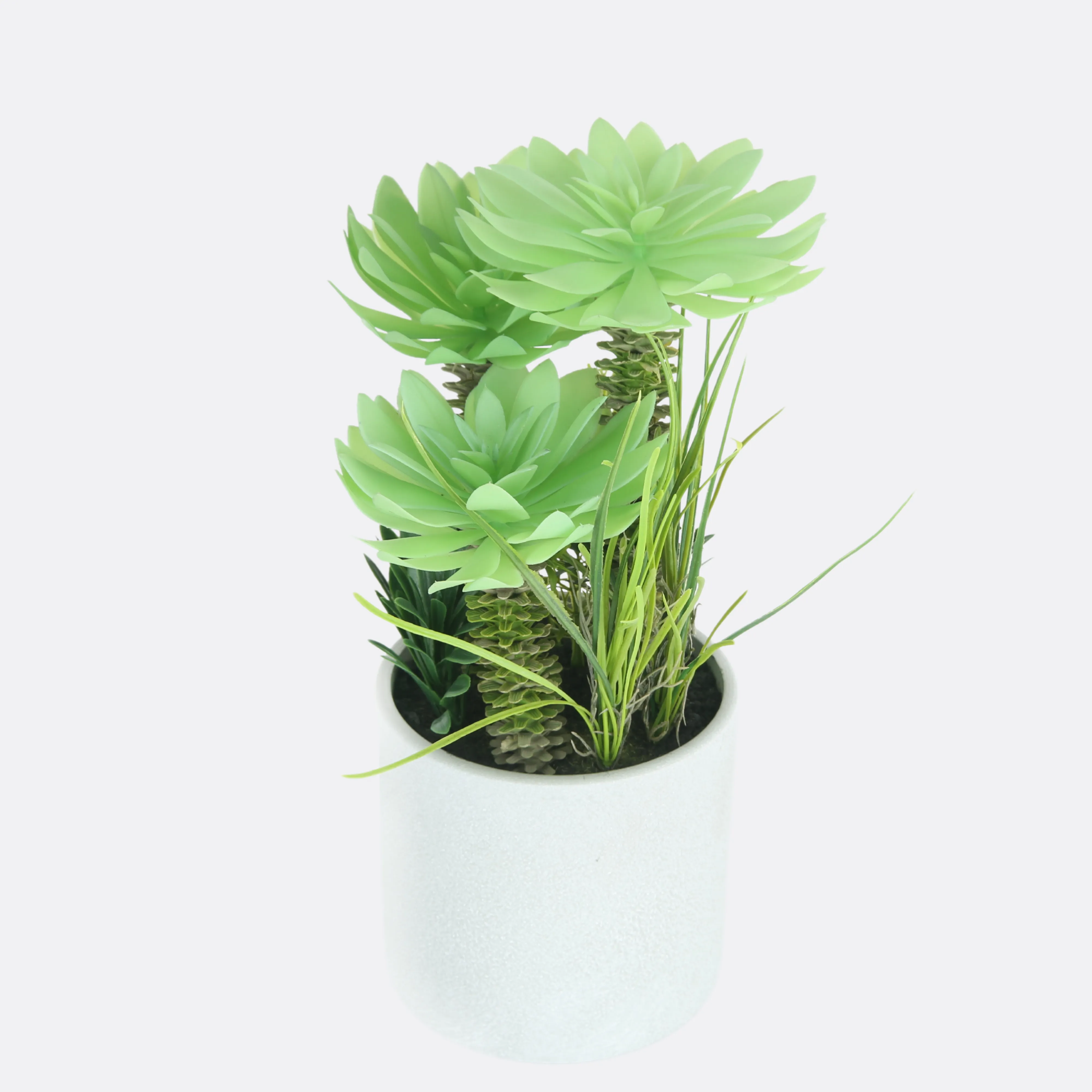 Stipule Planter With Ceramic Pot