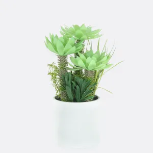 Stipule Planter With Ceramic Pot