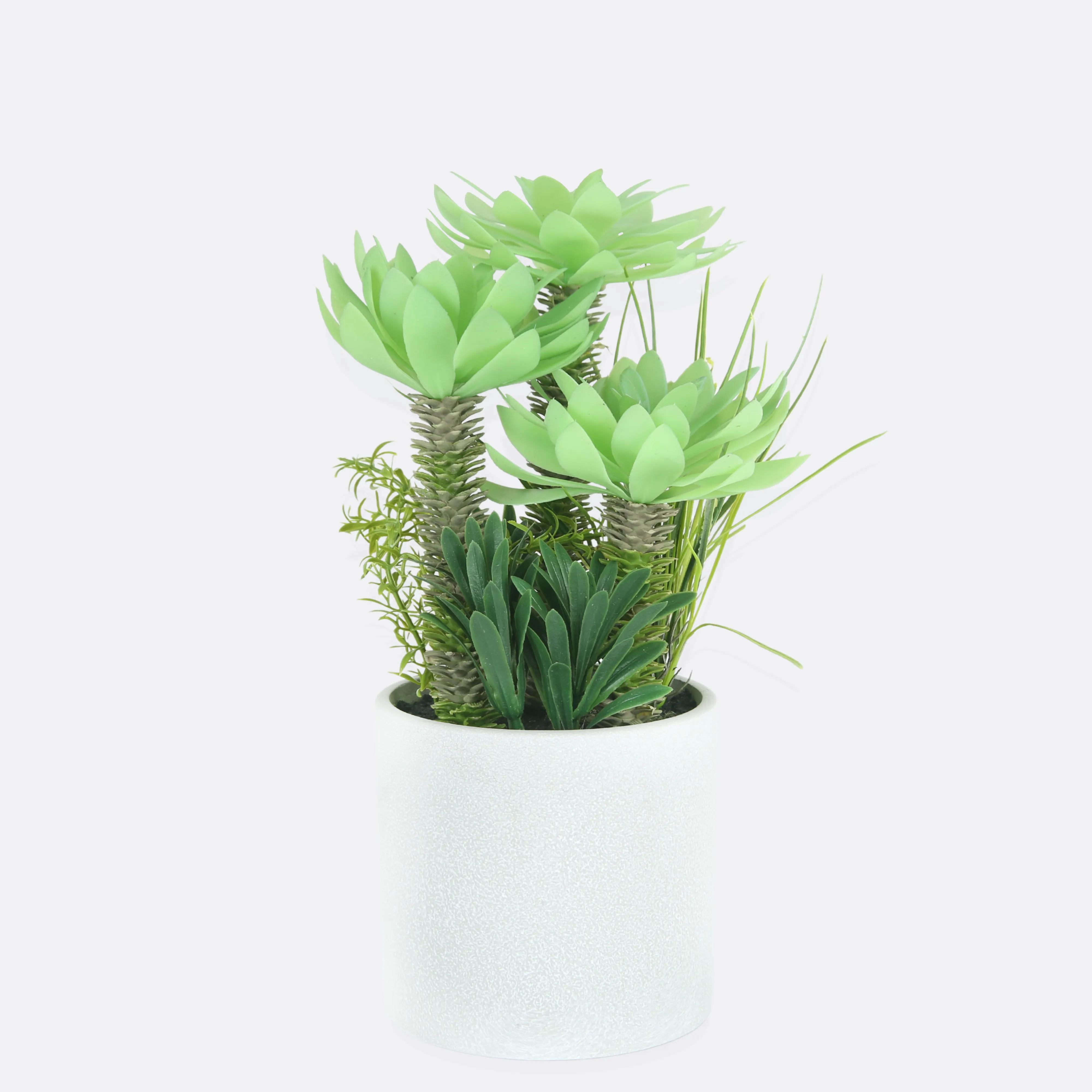 Stipule Planter With Ceramic Pot