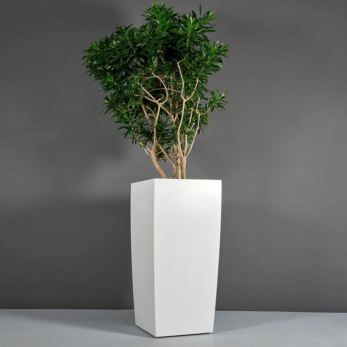 Toulan Modern Tall Tapered Square Planter